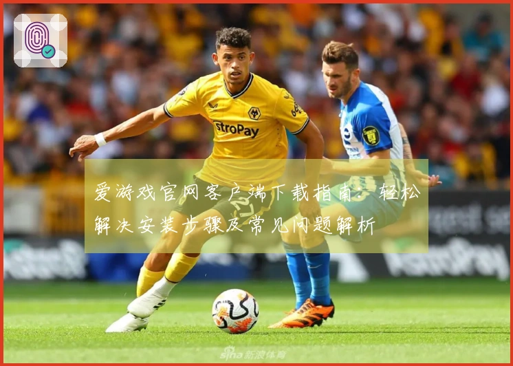 爱游戏官网客户端下载指南：轻松解决安装步骤及常见问题解析
