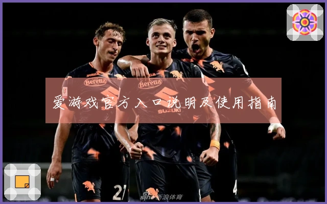 爱游戏官方入口说明及使用指南