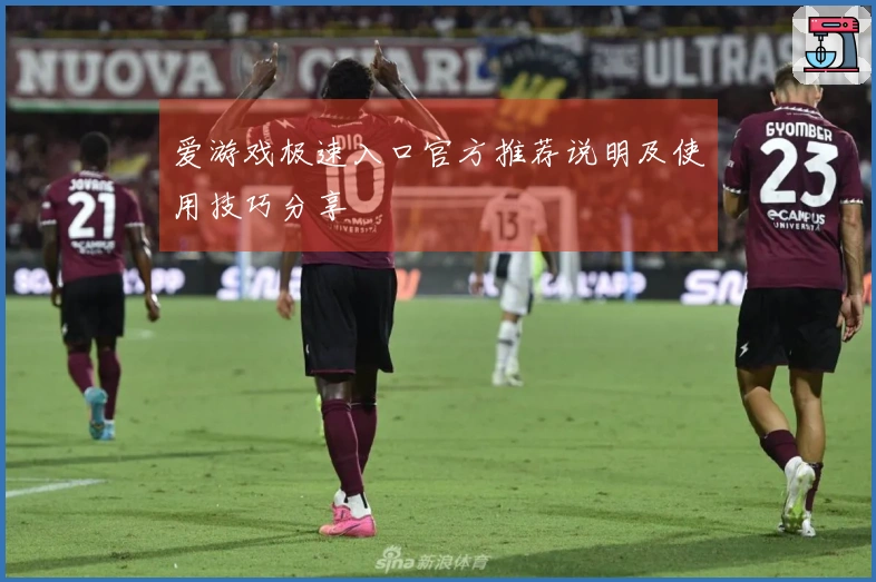 爱游戏极速入口官方推荐说明及使用技巧分享