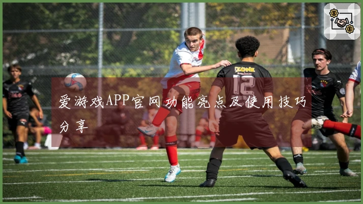 爱游戏APP官网功能亮点及使用技巧分享